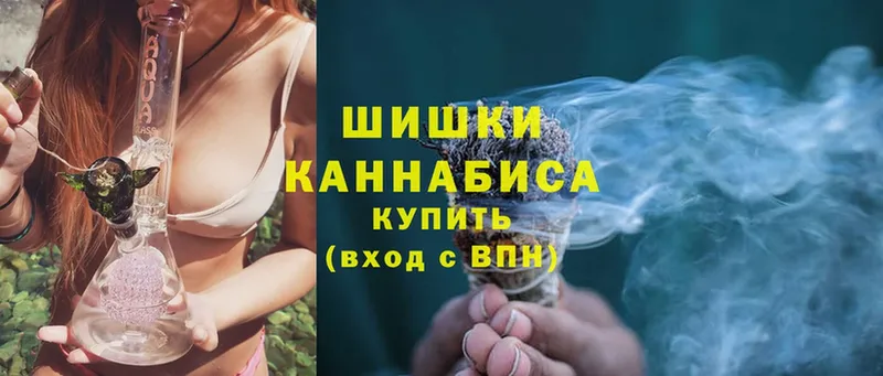 Бошки Шишки конопля  Вязьма 